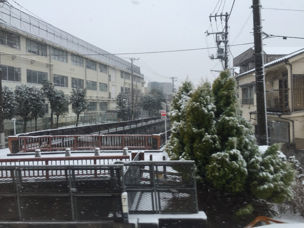 雪の中野