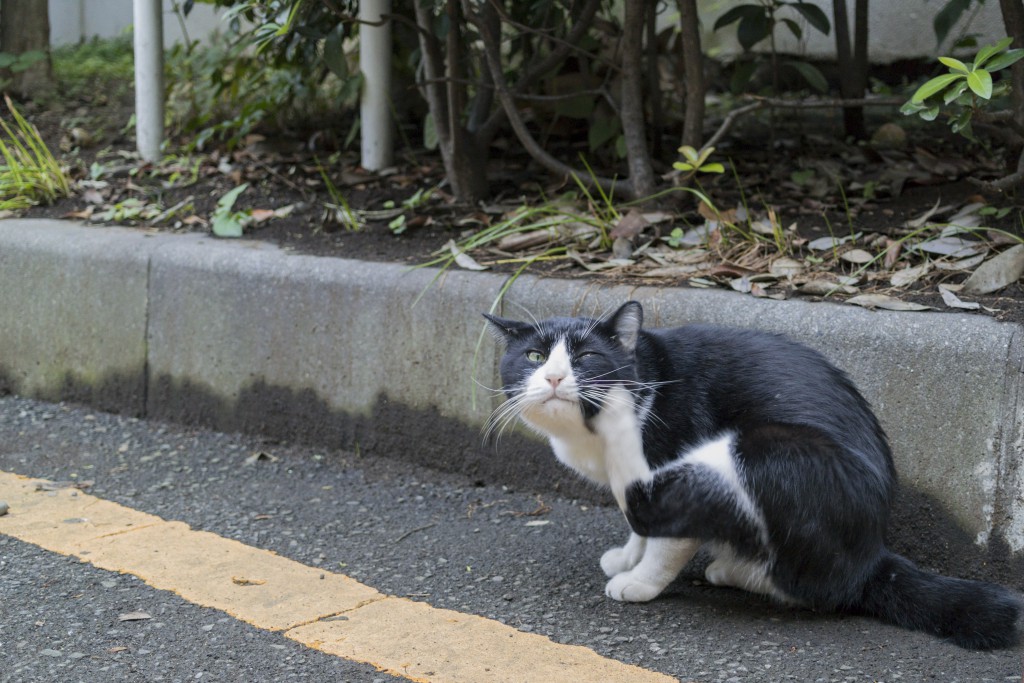 LIFE裏路地パトロール2