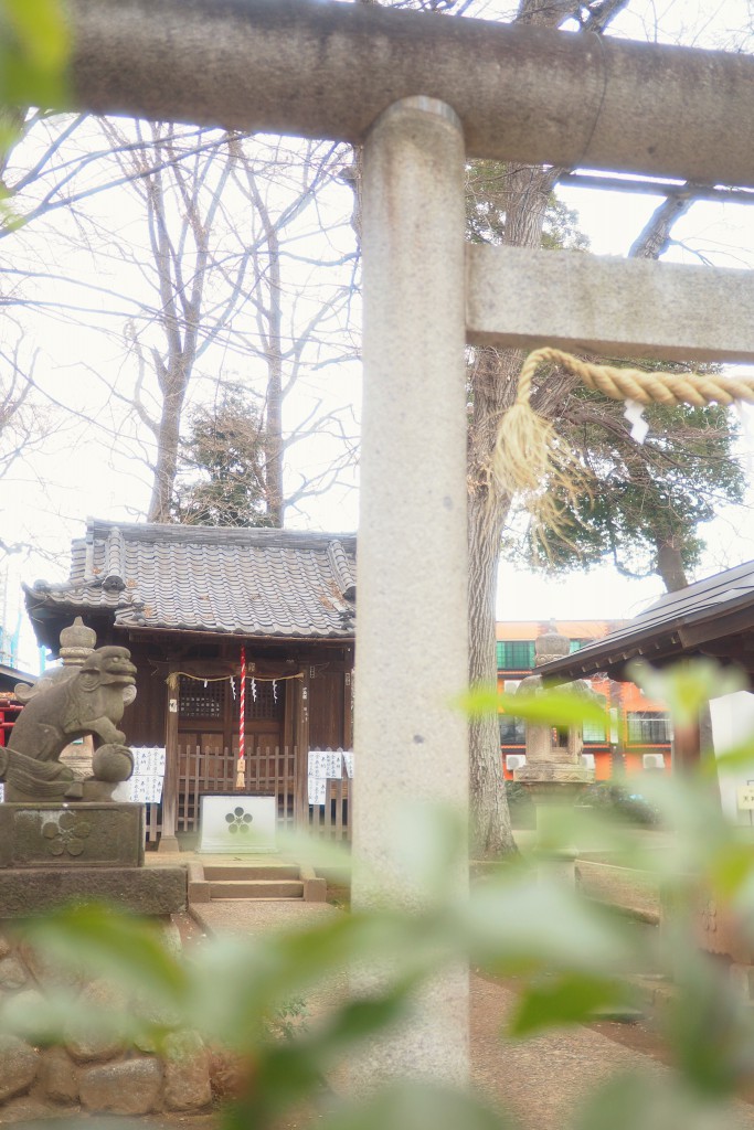 神社でかくれんぼ