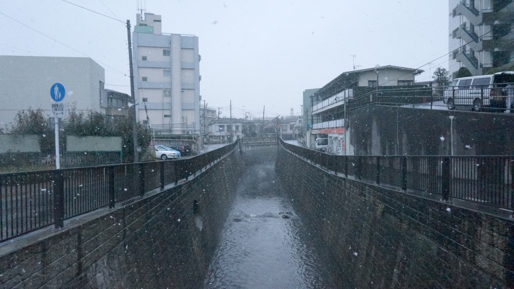 小雪舞う妙正寺川