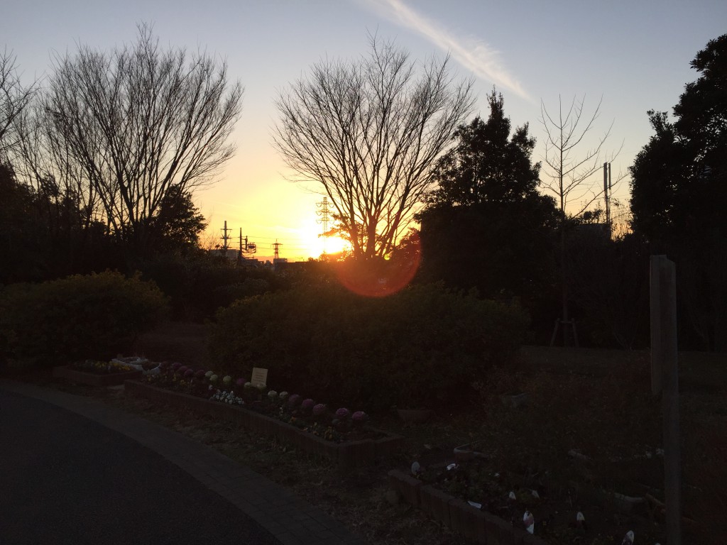 中野の夕日