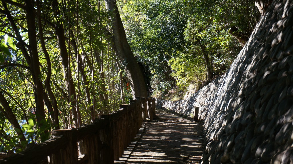 奥の細道ならぬ中野の細道