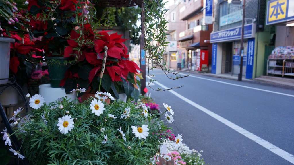 花と沼袋