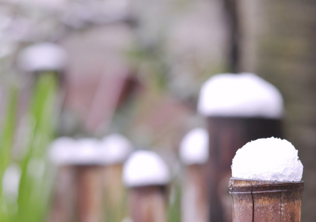  珍しい雪景色in中野☆