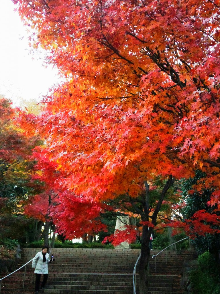 “紅葉”と名の付く公園